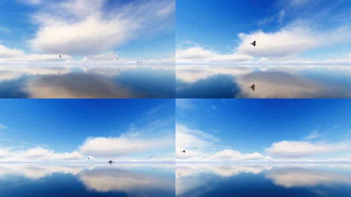 镜面水湖水水鸟白云循环背景