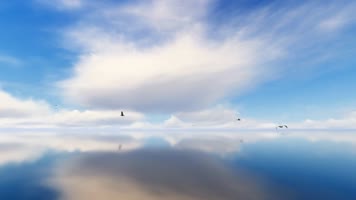 镜面水湖水水鸟白云循环背景