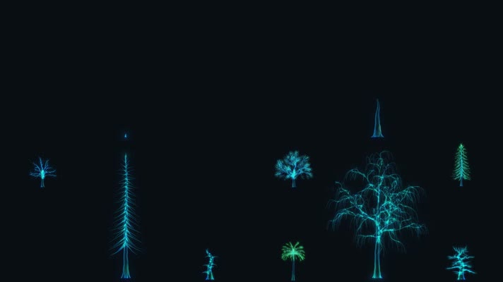 全息树生长动画旋转循环动画视频素材
