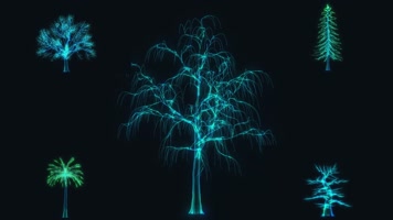 全息树生长动画旋转循环动画视频素材