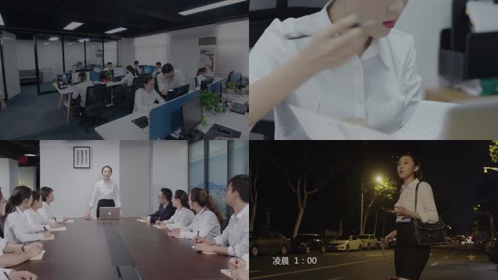 公司白领组织会议培训 公司白领组织会议培训