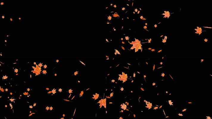 4K红枫叶飘落【原创带alpha通道】
