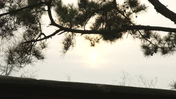 西柏坡 4k 革命 窑洞 陕北 延安 党建 