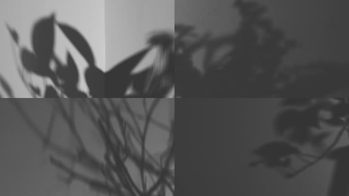 时光流逝光影视频素材