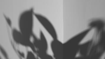 时光流逝光影视频素材