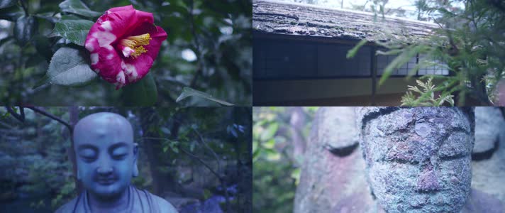 日式风格，庭院风光