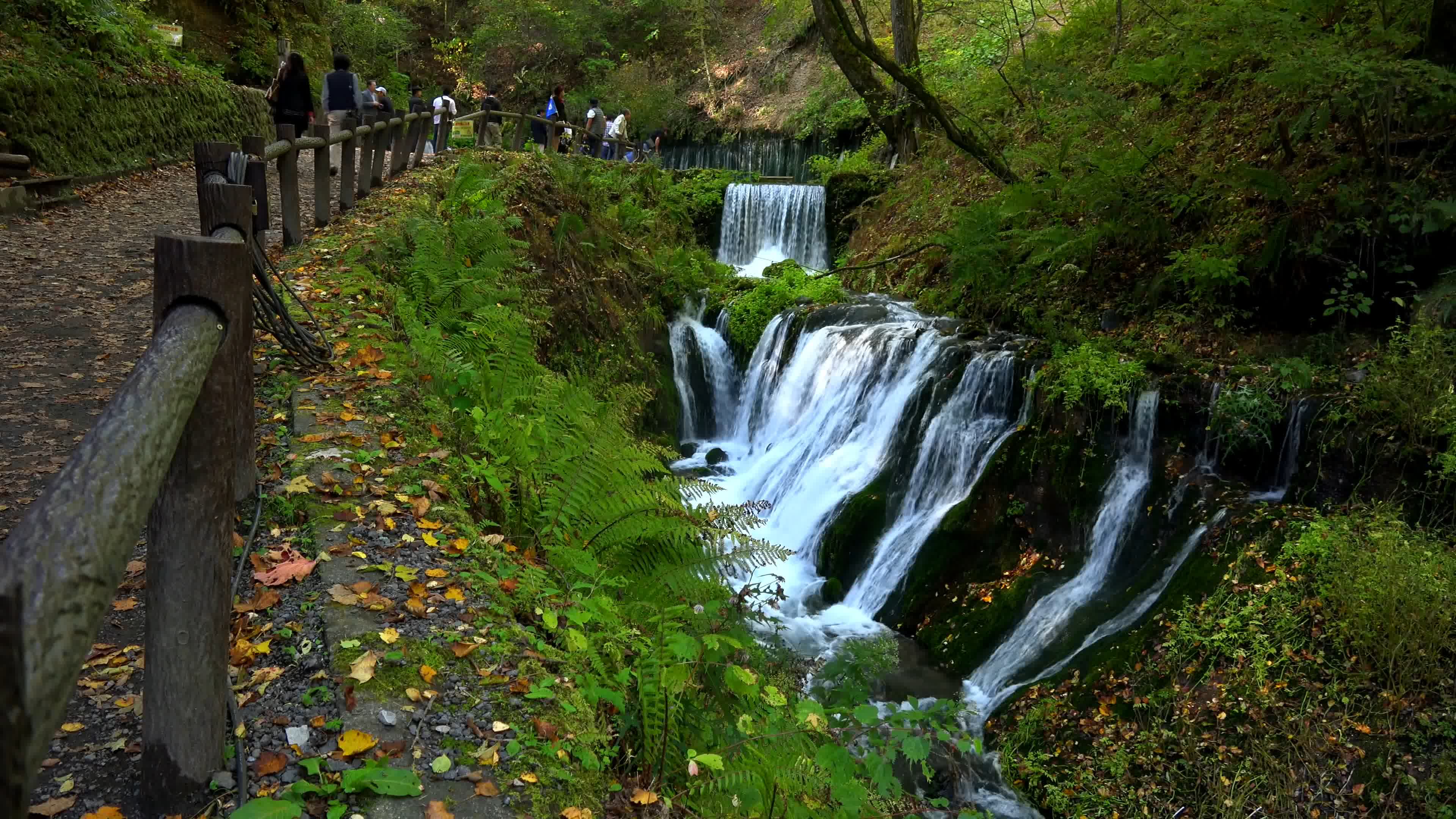 秋天黄叶，瀑布流水，水面落叶