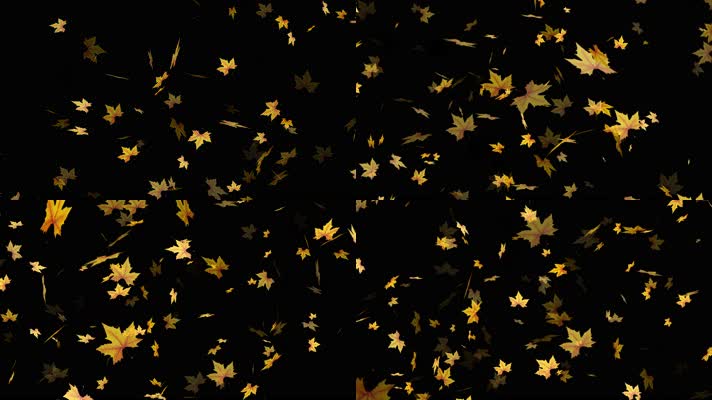 4K金秋落叶枫叶迎面吹来秋天落叶
