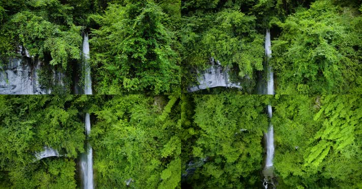 4k实拍森林瀑布