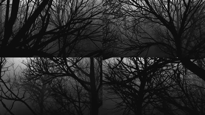 黑白意境森林树木