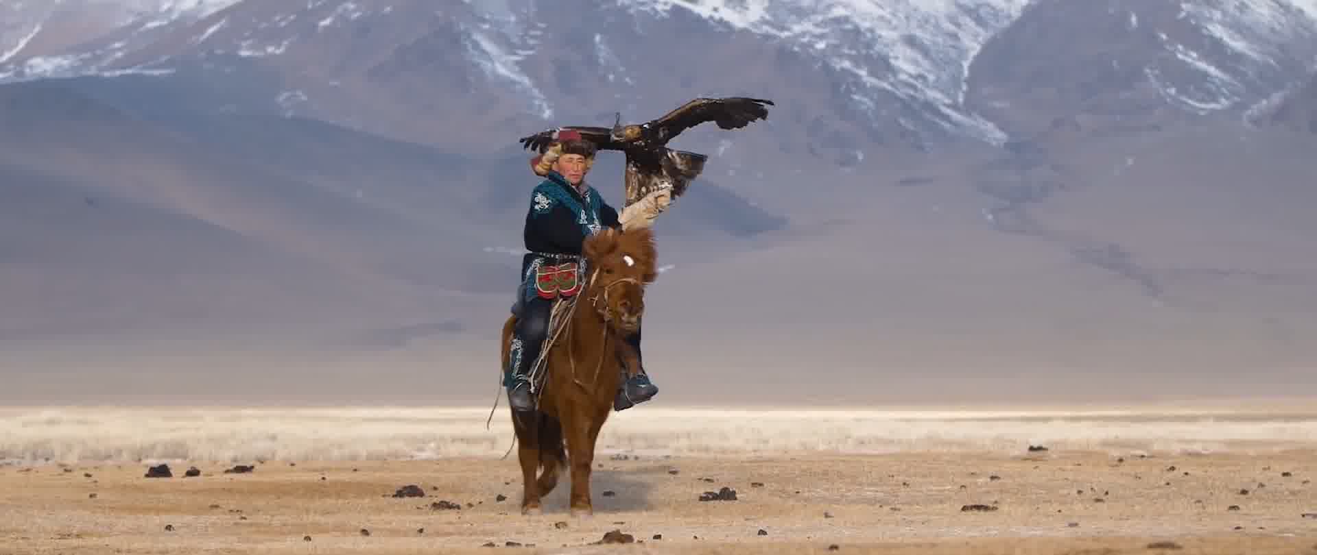 自驾游，蒙古之旅，开车旅行