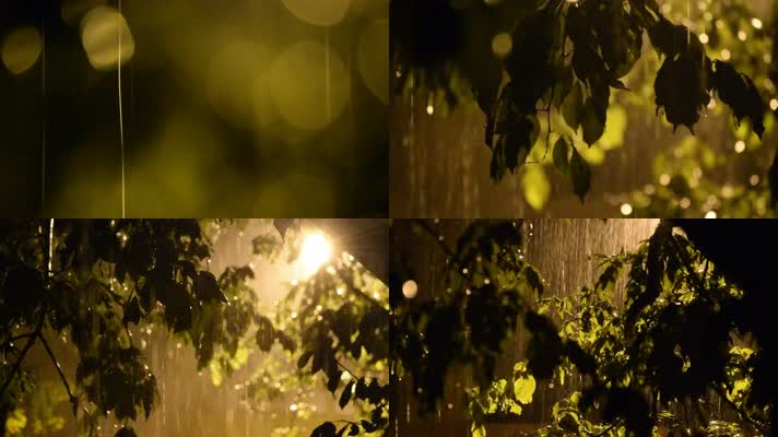 夜雨，雨夜 ，路灯树木