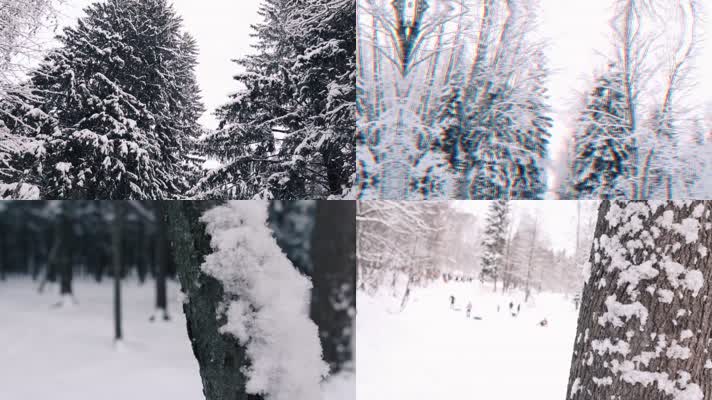 森林公园雪景，白色世界