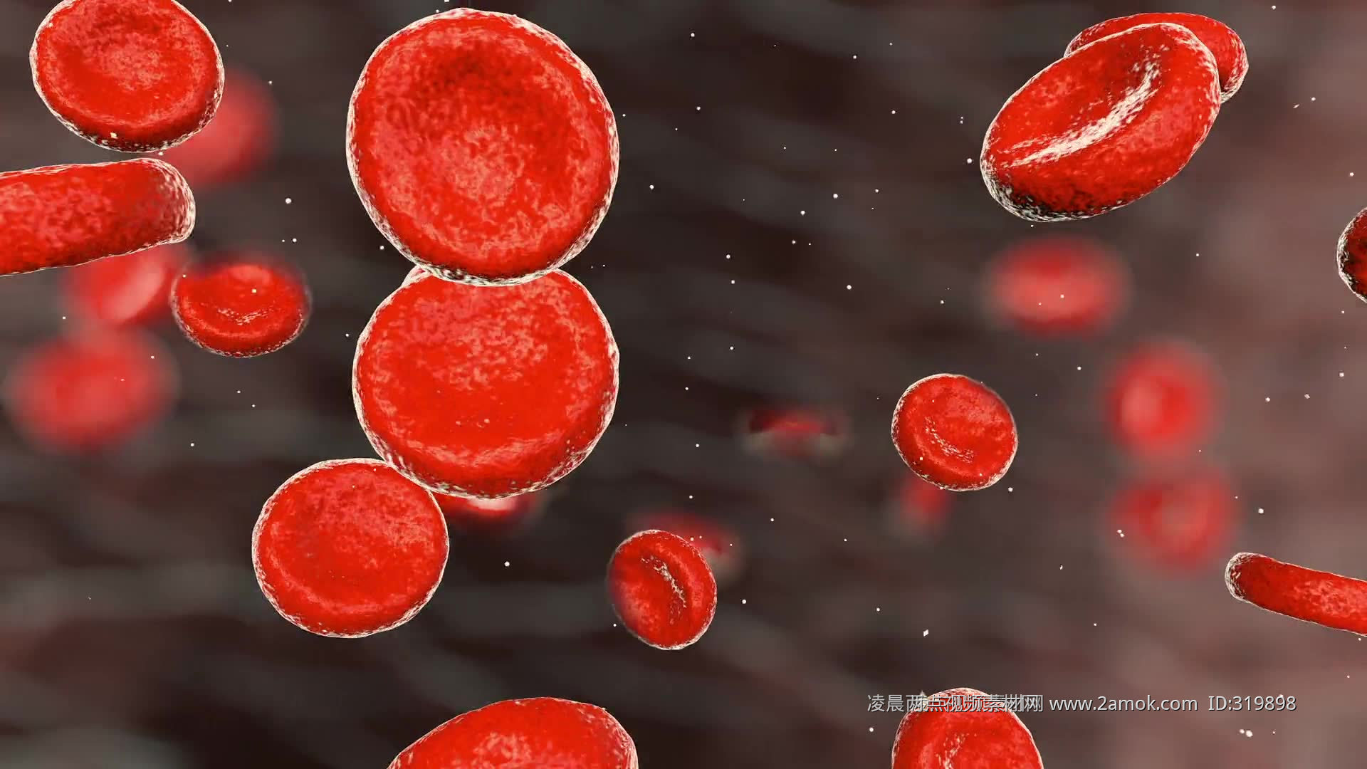 图1 血细胞发育总图-血液学细胞学-医学