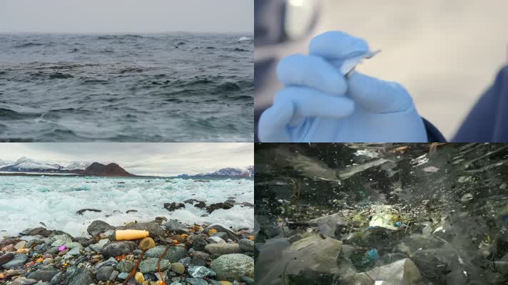 海洋垃圾污染