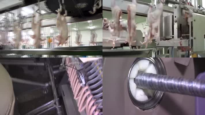 现代肉类加工食品线工厂 鸡鸭 火腿食品加工