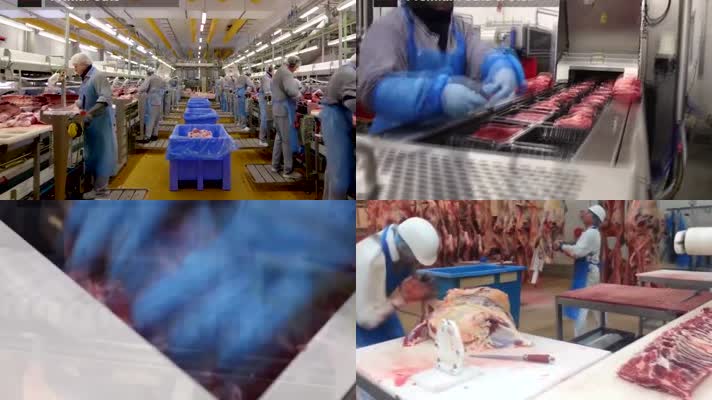 最快的肉类切割技术工厂食品加工流水线