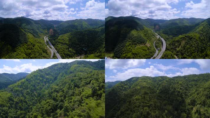 原始丛林航拍