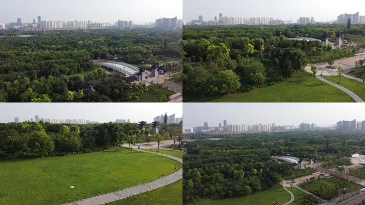 城市公园树林绿地