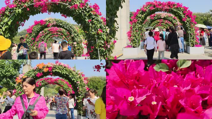 深圳市花勒杜鹃花展拱门