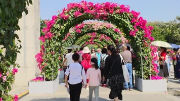 深圳市花勒杜鹃花展拱门