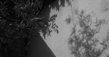 4K墙上的影子、时间流逝光阴光影意识流