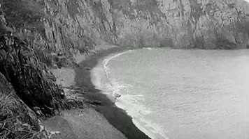 二战逃难的人民 二战逃难的人民