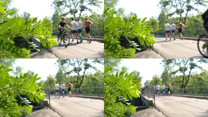 【4K】全民健身，绿道跑步晨跑