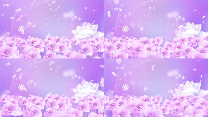 4K唯美花瓣飞舞花海背景