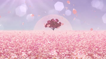 4K唯美光斑花海背景