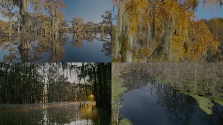 4K秋天湖水景色