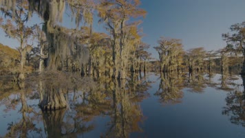 4K秋天湖水景色