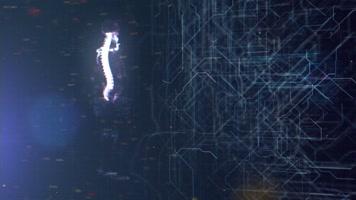 人体骨骼科技HUD背景