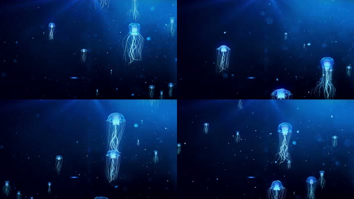 【4k】水母背景