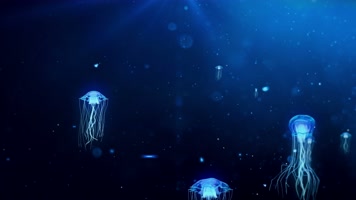 【4k】水母背景