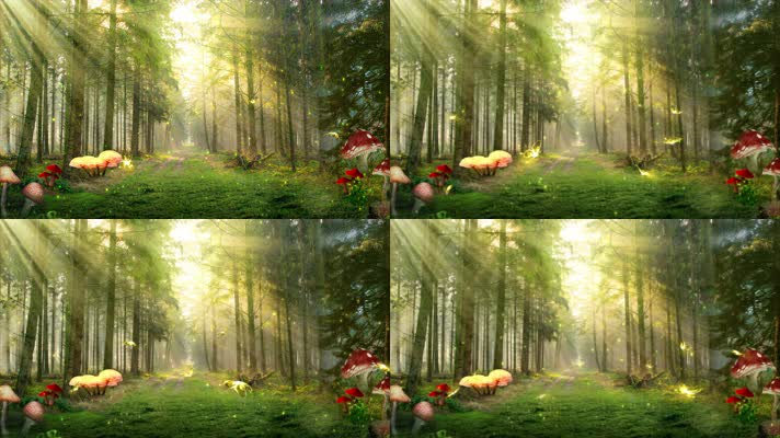 4K梦幻阳光森林蝴蝶飞舞