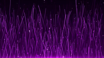 4K紫色粒子线条紫色背景