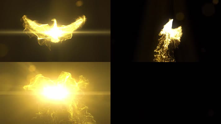 10秒鹰粒子素材高清视频素材