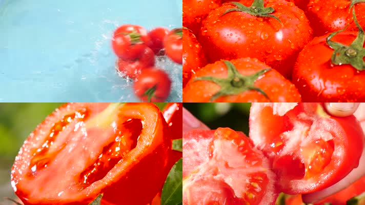 西红柿小视频