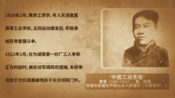 翻书复古AE工程模板