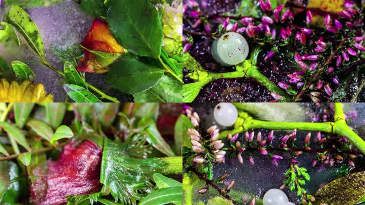 冰冻结冰延时，唯美意境