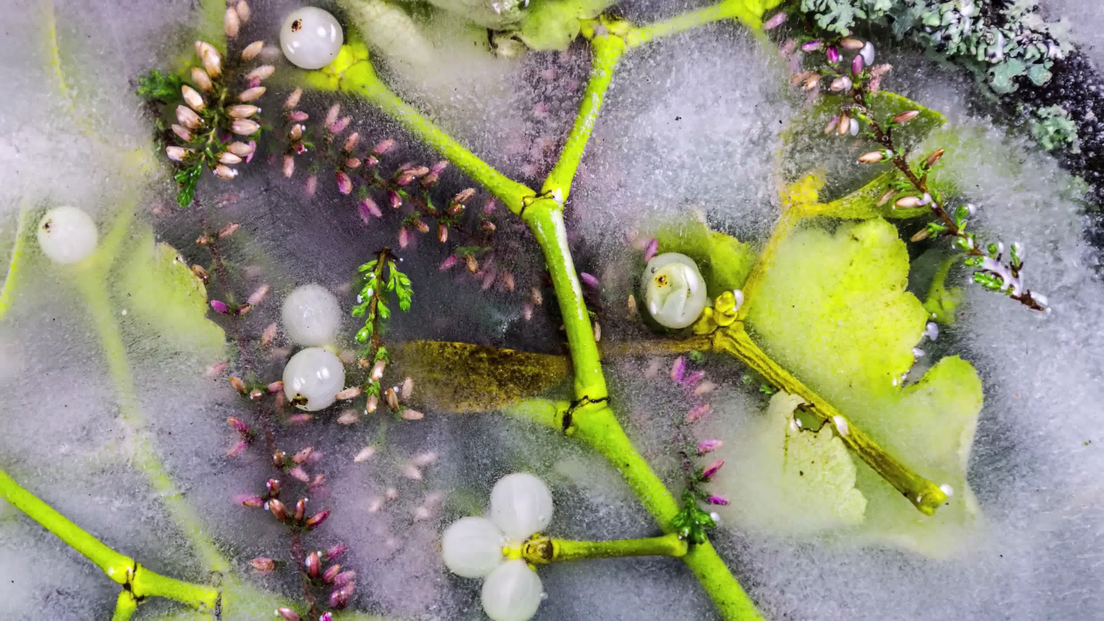 冰冻结冰延时，唯美意境