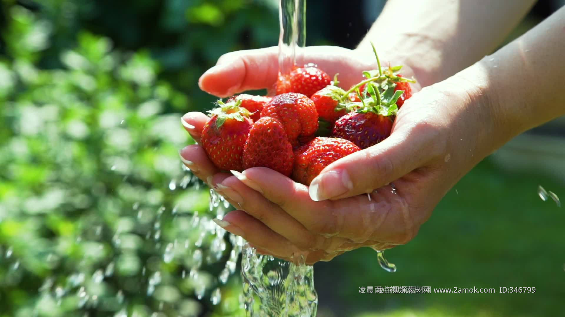 小苏打洗草莓怎么做_小苏打洗草莓的做法_豆果美食