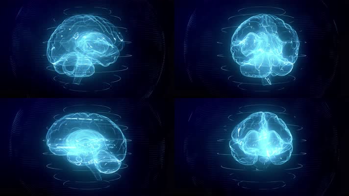 【无缝循环】【4k超清】科技感大脑