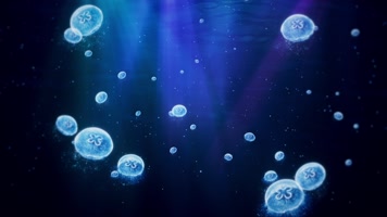 唯美水母海底背景1