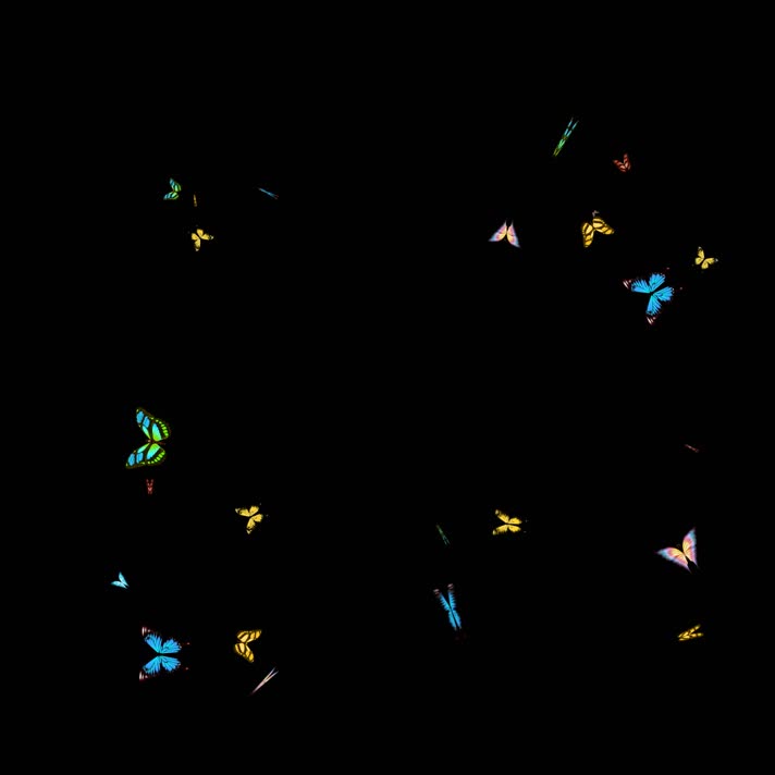 蝴蝶爆点(通道)