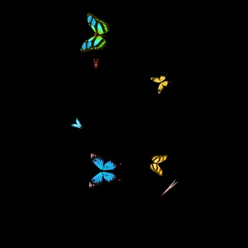 蝴蝶爆点(通道)