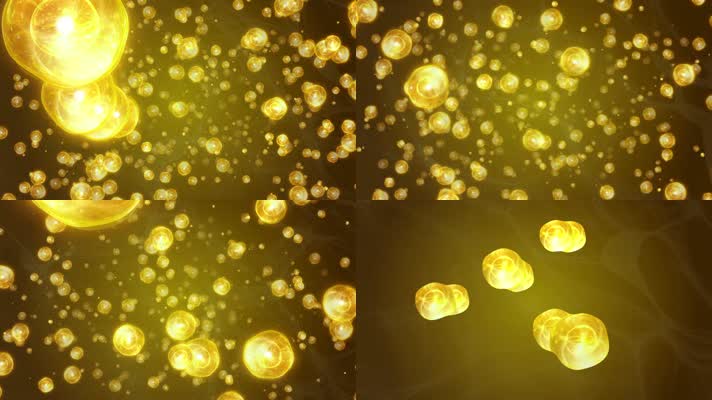 细胞分子细胞分裂 细胞分子细胞分裂