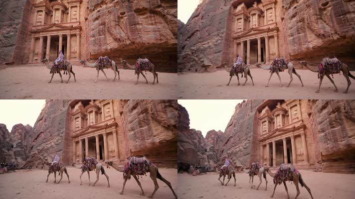 沙漠骆驼，阿拉伯，伊斯兰国家伊斯兰教