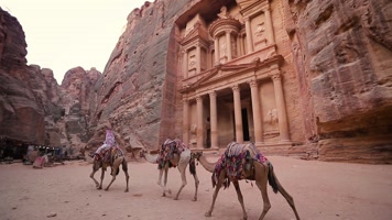 沙漠骆驼，阿拉伯，伊斯兰国家伊斯兰教